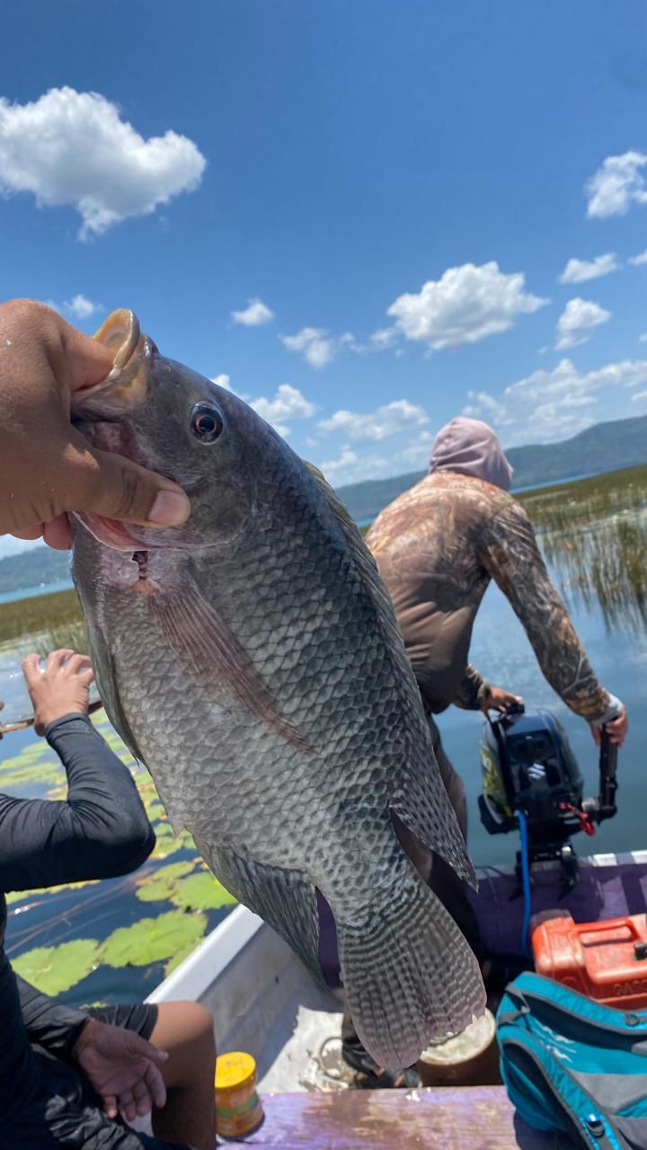 TOUR DE PESCA ARTESANAL