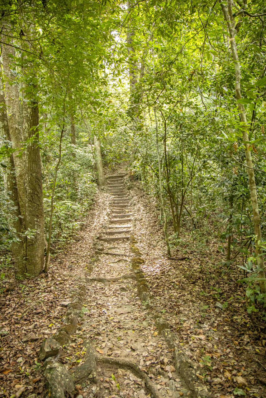 SENDERISMO CERRO CAHUI